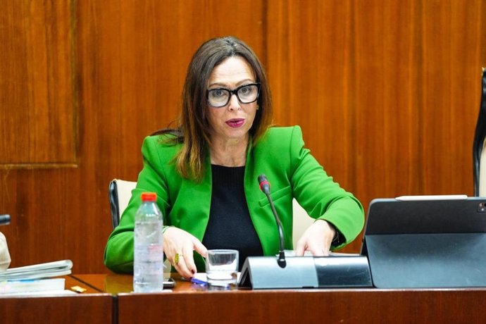 La consejera de Fomento, Rocío Díaz, en la comisión parlamentaria del 10 de febrero de 2026.