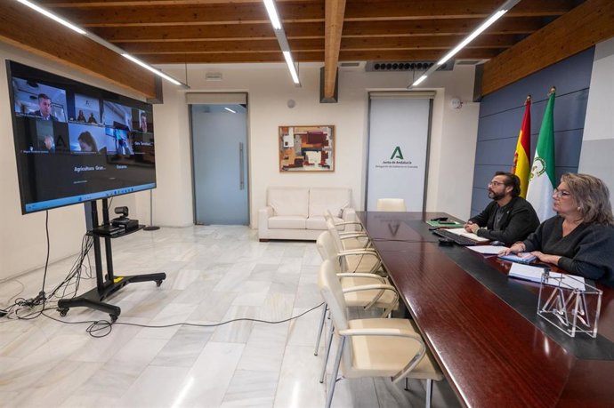 El delegado del Gobierno andaluz en Granada, Antonio Granados, y la delegada de Agricultura, Pesca, Agua y Desarrollo Rural, Carmen Lidia Reyes, en videoconferencia con las organizaciones agrarias.