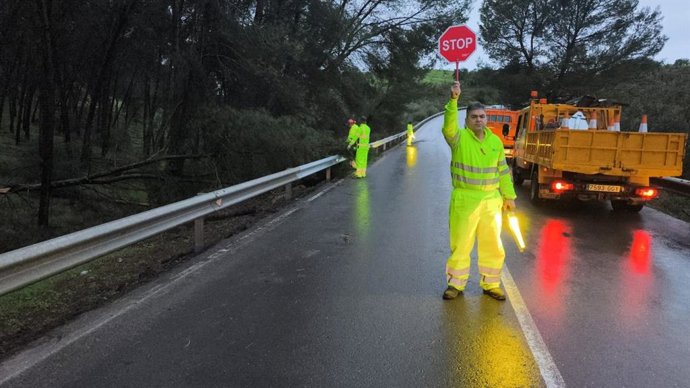Operarios trabajan en las carreteras afectadas por el temporal.