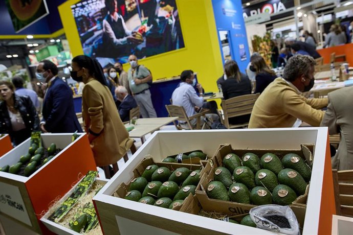 Archivo - Varias cajas de aguacates.