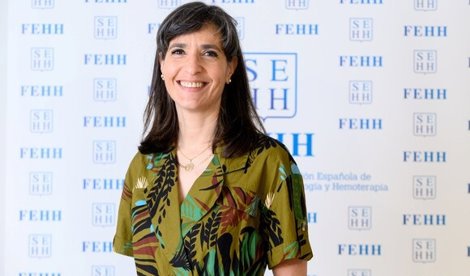 notibrasil sociedade