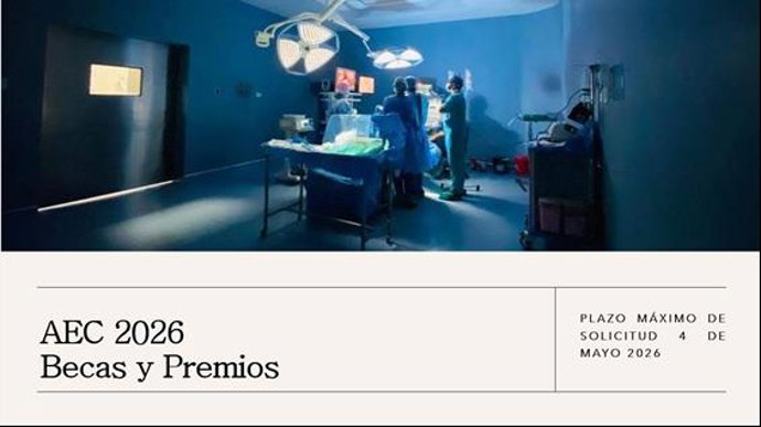 Becas y Premios AEC