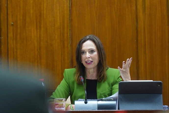 La consejera de Fomento, Articulación del Territorio y Vivienda, Rocío Díaz.