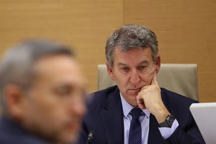 El presidente del PP, Alberto Nuñez Feijóo, comparece en la Comisión de investigación de la Dana, en el Congreso de los Diputados, a 2 de febrero de 2026, en Madrid (España). 