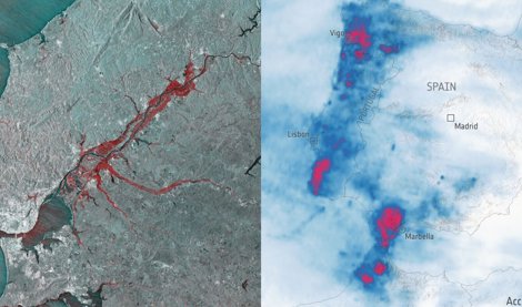 notibrasil sociedade