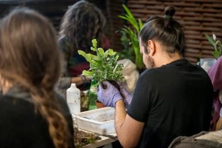 Imágenes de archivo de diferentes propuestas de Biophest en Matadero Madrid 2025