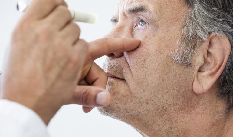 notibrasil sociedade