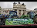 Unos 8.000 agricultores y ganaderos con 500 tractores toman Madrid contra la futura PAC y Mercosur