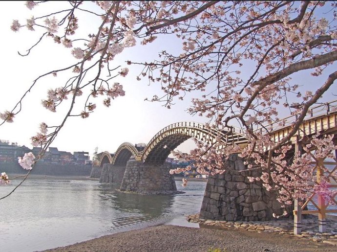 Japón da la bienvenida a la primavera con la llegada del sakura