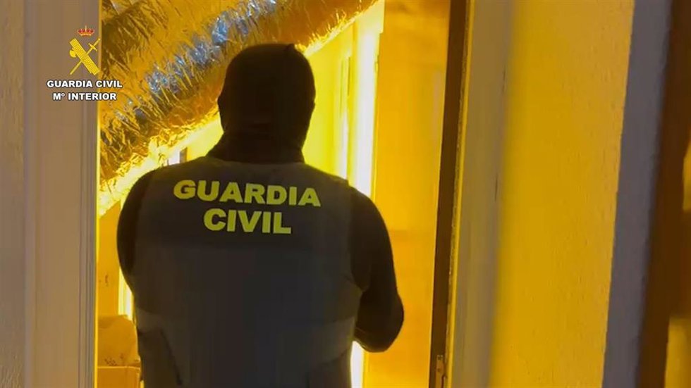 Un agente de la Guardia Civil en la plantación de marihuana de Santa Amalia.