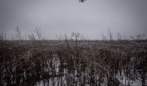 notibrasil política