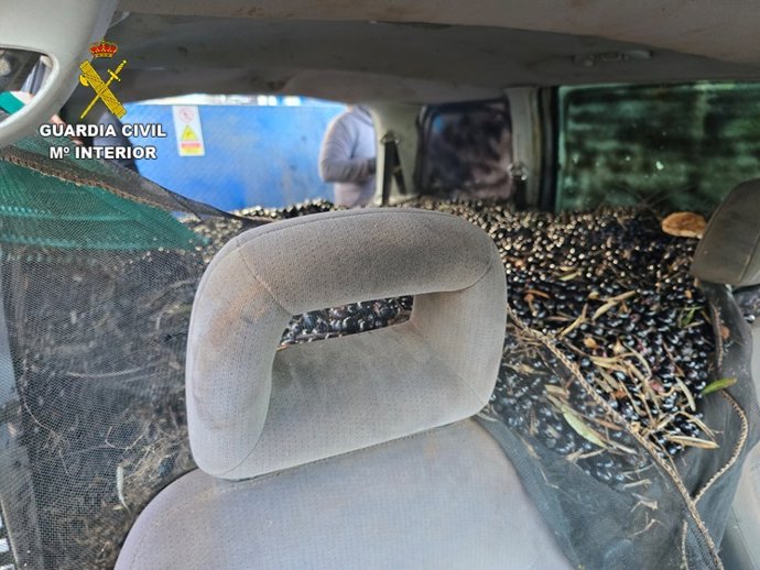 Vehículo intervenido por la Guardia Civil mientras transportaba olivas robadas.