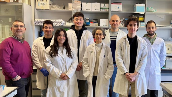 Grupo de investigación del Sarcoma.