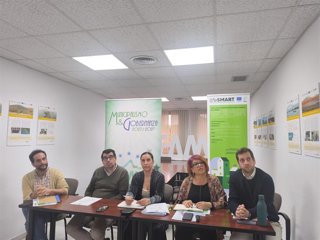 Participantes en el encuentro online