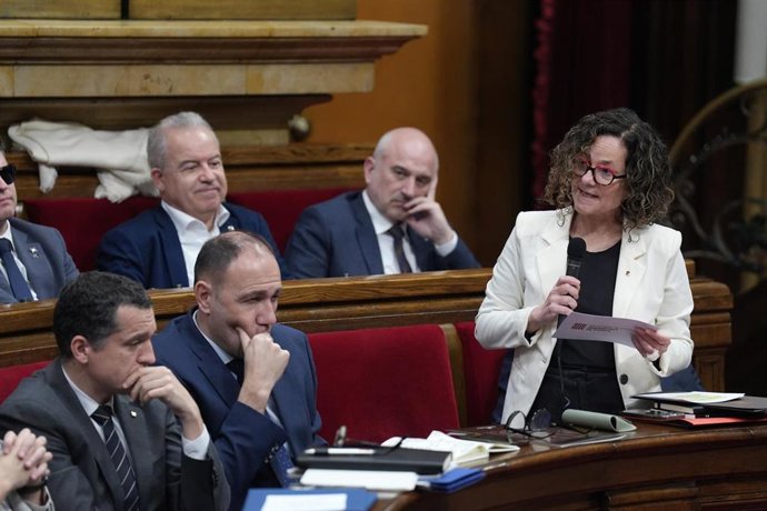 La consellera Hernández durante el pleno