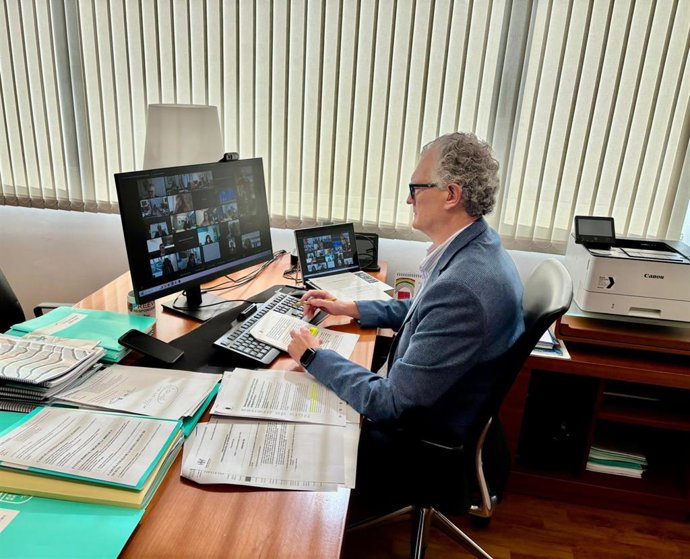 Reunión del Consejo Interterritorial de Salud, que se celebró hoy 'online'