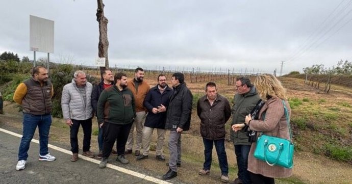El parlamentario andaluz por el PSOE de Huelva Mario Jiménez ha visitado este miércoles los viñedos de Chucena.