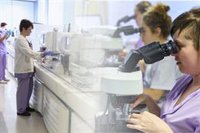 La AECC destaca que sus ayudas han contribuido a aumentar las investigaciones lideradas por mujeres