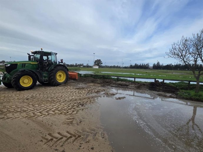 Trabajos en El Rocío para mitigar los efectos de los temporales.