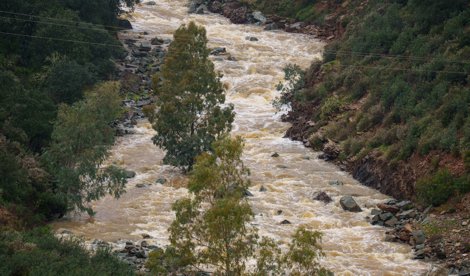 notibrasil política
