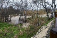 Nueva anegación en Jaén en el entorno del Puente de la Sierra y el Ayuntamiento pide prudencia