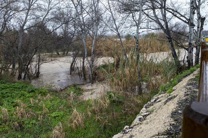 Uno de los ríos que pasan por zonas conocidas como los Puentes, en Jaén.