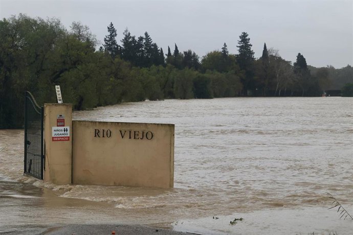 Un campo inundado en la zona rural de Jerez de la Frontera como consecuencia de la crecida del río Guadalete. ARCHIVO.