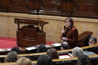 Paneque llama a la prudencia por los fuertes vientos mientras suena la Es-Alert en el Parlament