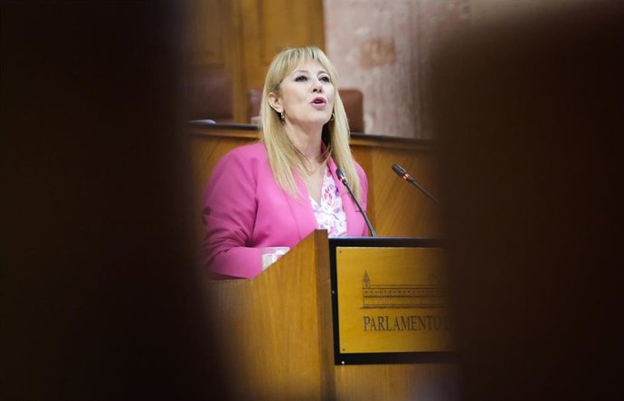 La consejera de Economía, María José López, este miércoles durante su intervención en el Pleno del Parlamento sobre la oferta del modelo de financiación.