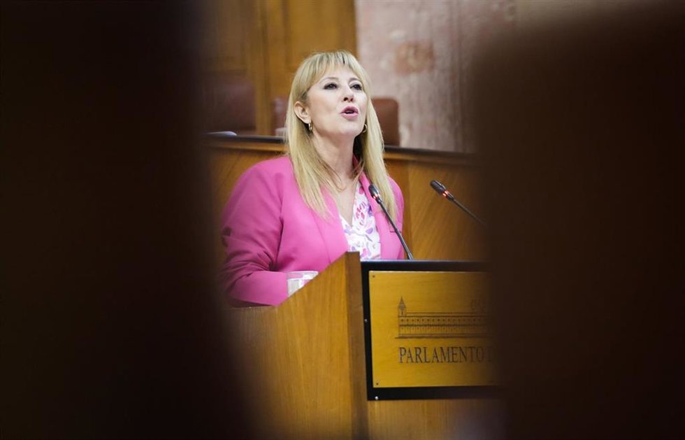La consejera de Economía, María José López, este miércoles durante su intervención en el Pleno del Parlamento sobre la oferta del modelo de financiación.