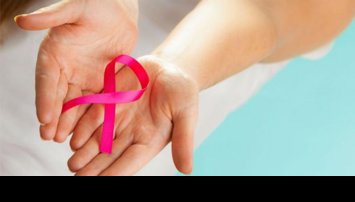 notibrasil sociedade