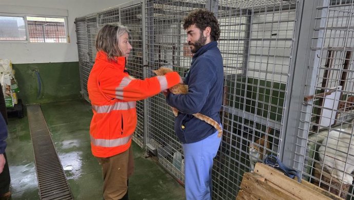 La presidenta de Sadeco, Isabel Albás, visita el Servicio de Bienestar Animal (SBA) para comprobar que el centro funciona ya con total normalidad tras el cierre cuatro días a causa del desbordamiento del río Guadalquivir.