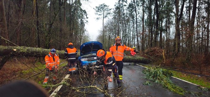 Os servizos de emerxencias traballan para retirar unha árbore que caeu sobre un coche que circulaba en Caldas, deixando ferida leve á súa condutora