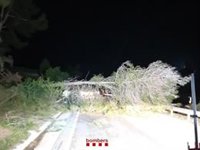 El 112 recibe 1.345 llamadas por el fuerte viento hasta las 6 horas de este jueves