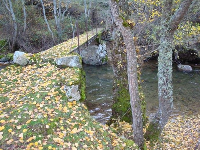 Zona del río Najerilla en Viniegra de Abajo