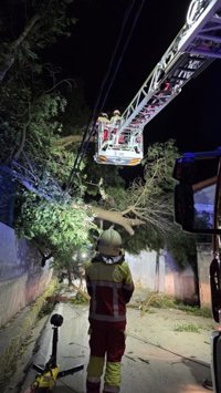 Un árbol tirado por el viento en Meruelo cae sobre el tendido eléctrico, corta una vía y daña una casa