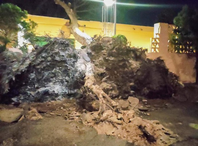 Incidencias en Torrent por el viento