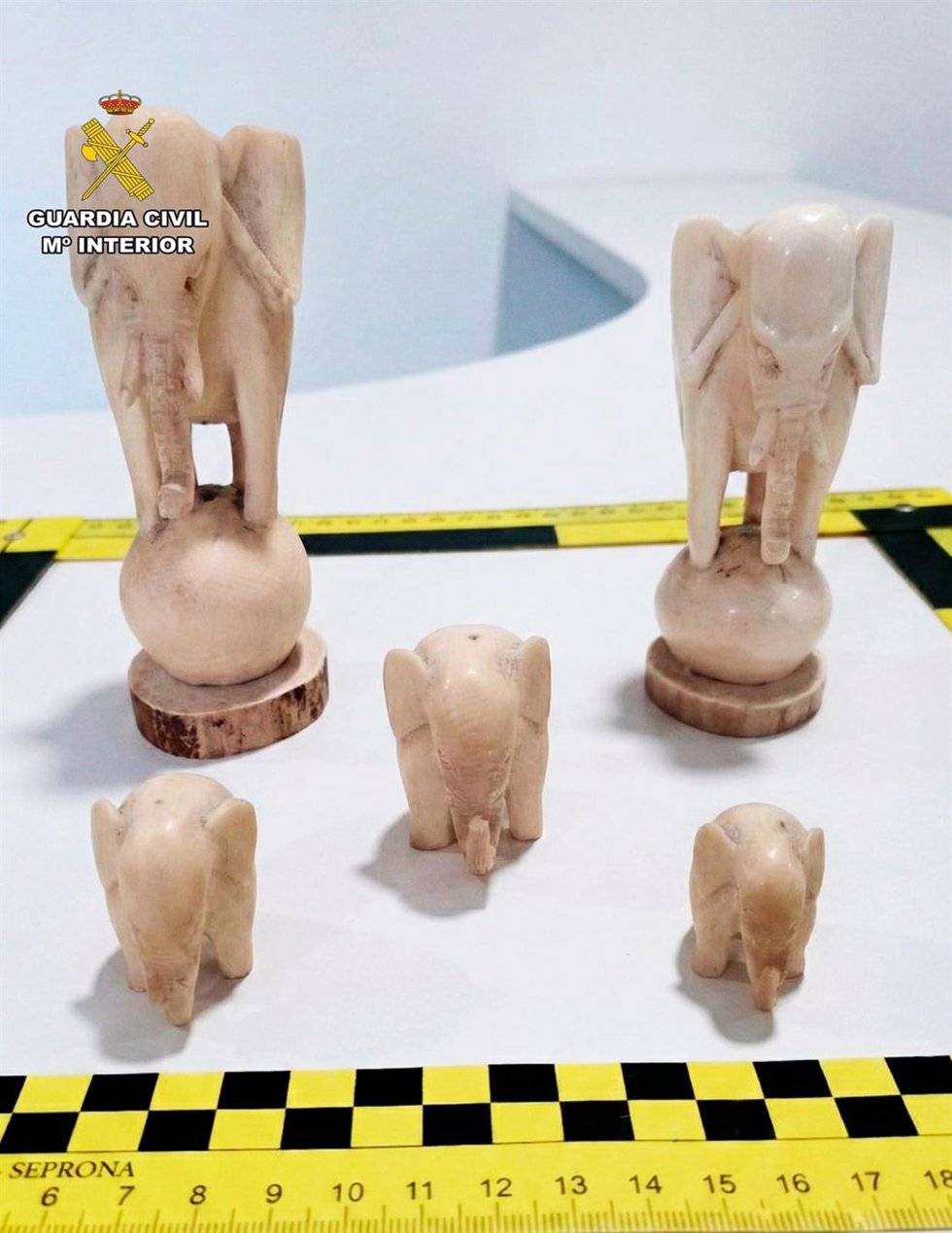 Figuras de marfil intervenidas en una investigación, con dos implicados como supuestos autores de un delito de contrabando y delito contra la fauna por comerciar con este material sin autorización.