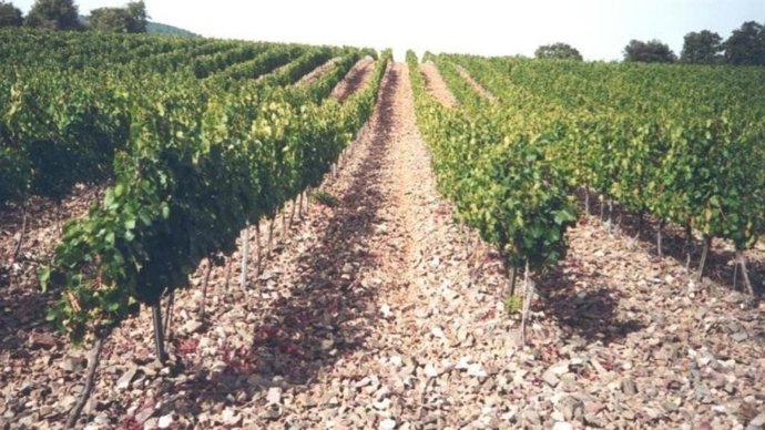 En total se han dado ayudas por 4.375.974,71 euros y 3.387.071,94 euros en 2023 y 2024, respectivamente.