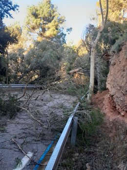 Un árbol caído este jueves en una de las carreteras gestionadas por la Diputación de Barcelona.