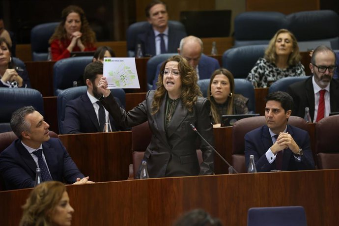 La consejera de Sanidad, Fátima Matute, durante el pleno de la Asamblea de Madrid, a 12 de febrero de 2026, en Madrid (España).