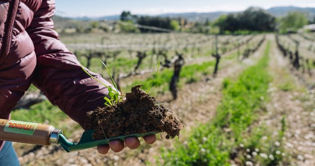 EpAgro - Agricultura