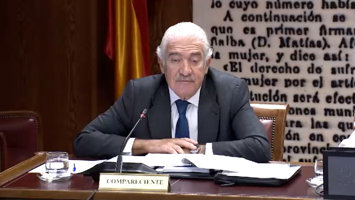 Bogas ve a REE como único culpable del apagón, ya que "no actuó con agilidad suf