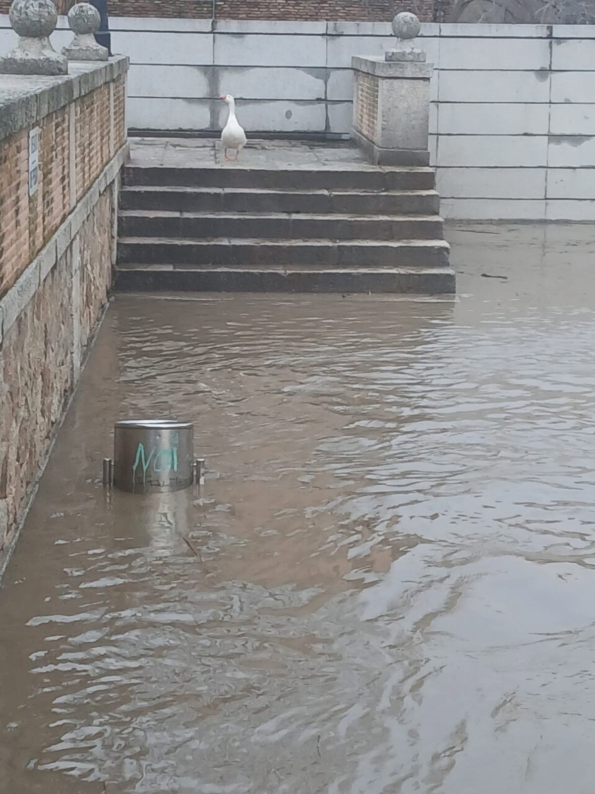 Velázquez avisa que el Tajo seguirá creciendo a su paso por la ciudad y pide prudencia a los toledanos