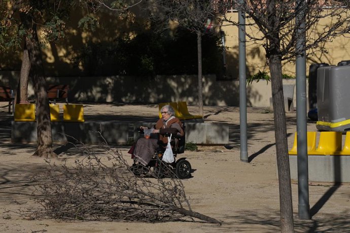 Varias ramas arrancadas por el viento, a 12 de febrero de 2026, en Barcelona, Catalunya (España). El teléfono de emergencias 112 ha recibido un total de 1.345 llamadas por el fuerte viento hasta las 6 horas de este jueves, 12 de febrero. Además,, el vient
