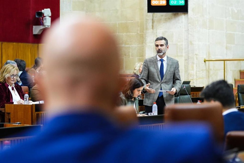 El consejero de Agricultura, Pesca, Agua y Desarrollo Rural de la Junta, Ramón Fernández-Pacheco, interviene en el Parlamento andaluz.