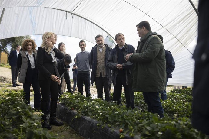 El ministro de Agricultura, Pesca y Alimentación, Luis Planas (2d), visita este jueves una explotación agrícola en Moguer (Huelva) tras las lluvias
