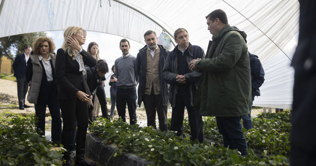 EpAgro - Agricultura