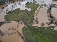 Organizan un dispositivo para llevar alimento en helicóptero a 480 ovejas aisladas en Arroyo de San Serván (Badajoz)