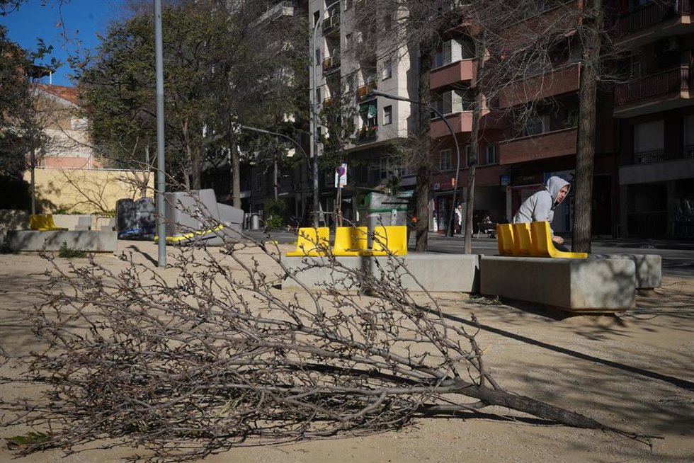 Varias ramas arrancadas por el viento en Barcelona.